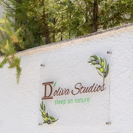 Daire Doliva Erietta Private Pool *